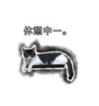 こんぶとわかめ（個別スタンプ：6）