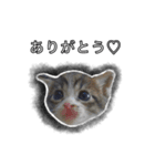 こんぶとわかめ（個別スタンプ：7）