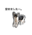 こんぶとわかめ（個別スタンプ：8）