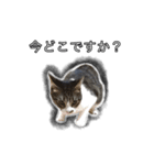 こんぶとわかめ（個別スタンプ：9）