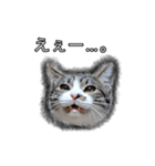 こんぶとわかめ（個別スタンプ：11）