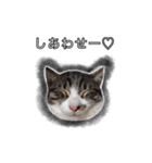 こんぶとわかめ（個別スタンプ：12）