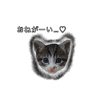 こんぶとわかめ（個別スタンプ：13）