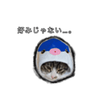 こんぶとわかめ（個別スタンプ：14）