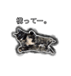 こんぶとわかめ（個別スタンプ：15）