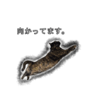 こんぶとわかめ（個別スタンプ：16）