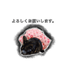 こんぶとわかめ（個別スタンプ：17）