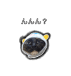 こんぶとわかめ（個別スタンプ：18）