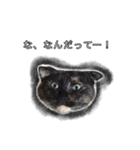 こんぶとわかめ（個別スタンプ：19）