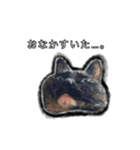 こんぶとわかめ（個別スタンプ：22）