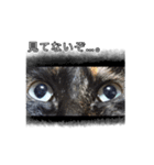 こんぶとわかめ（個別スタンプ：23）