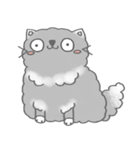 Fluffy cut cat（個別スタンプ：1）