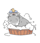 Fluffy cut cat（個別スタンプ：12）