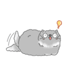 Fluffy cut cat（個別スタンプ：13）