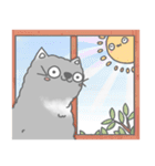 Fluffy cut cat（個別スタンプ：20）