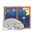 Fluffy cut cat（個別スタンプ：21）