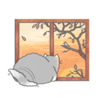 Fluffy cut cat（個別スタンプ：24）
