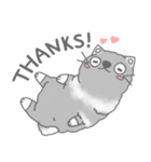 Fluffy cut cat（個別スタンプ：26）