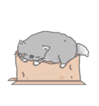 Fluffy cut cat（個別スタンプ：32）