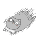 Fluffy cut cat（個別スタンプ：34）