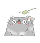 Fluffy cut cat（個別スタンプ：40）