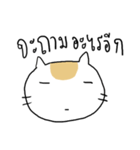 Chubby Cat MaoMao V4（個別スタンプ：3）