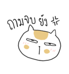 Chubby Cat MaoMao V4（個別スタンプ：8）