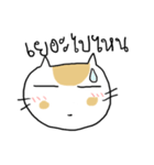 Chubby Cat MaoMao V4（個別スタンプ：10）
