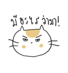 Chubby Cat MaoMao V4（個別スタンプ：12）