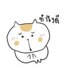 Chubby Cat MaoMao V4（個別スタンプ：16）