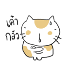 Chubby Cat MaoMao V4（個別スタンプ：17）