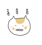 Chubby Cat MaoMao V4（個別スタンプ：18）
