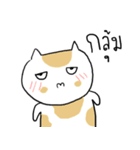 Chubby Cat MaoMao V4（個別スタンプ：20）
