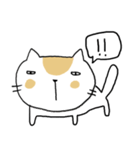 Chubby Cat MaoMao V4（個別スタンプ：22）