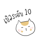 Chubby Cat MaoMao V4（個別スタンプ：23）