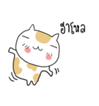 Chubby Cat MaoMao V4（個別スタンプ：25）