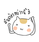 Chubby Cat MaoMao V4（個別スタンプ：31）