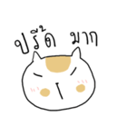 Chubby Cat MaoMao V4（個別スタンプ：32）