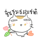 Chubby Cat MaoMao V4（個別スタンプ：34）