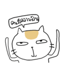 Chubby Cat MaoMao V4（個別スタンプ：38）
