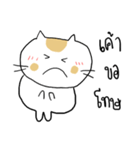 Chubby Cat MaoMao V4（個別スタンプ：39）