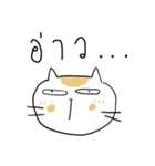 Chubby Cat MaoMao V3（個別スタンプ：1）