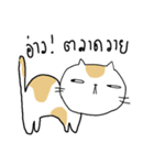 Chubby Cat MaoMao V3（個別スタンプ：5）