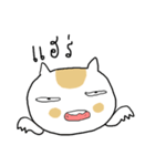 Chubby Cat MaoMao V3（個別スタンプ：6）