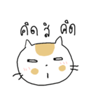 Chubby Cat MaoMao V3（個別スタンプ：8）
