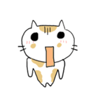 Chubby Cat MaoMao V3（個別スタンプ：12）