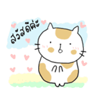 Chubby Cat MaoMao V3（個別スタンプ：16）