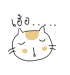 Chubby Cat MaoMao V3（個別スタンプ：19）