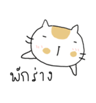 Chubby Cat MaoMao V3（個別スタンプ：20）