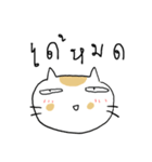 Chubby Cat MaoMao V3（個別スタンプ：22）